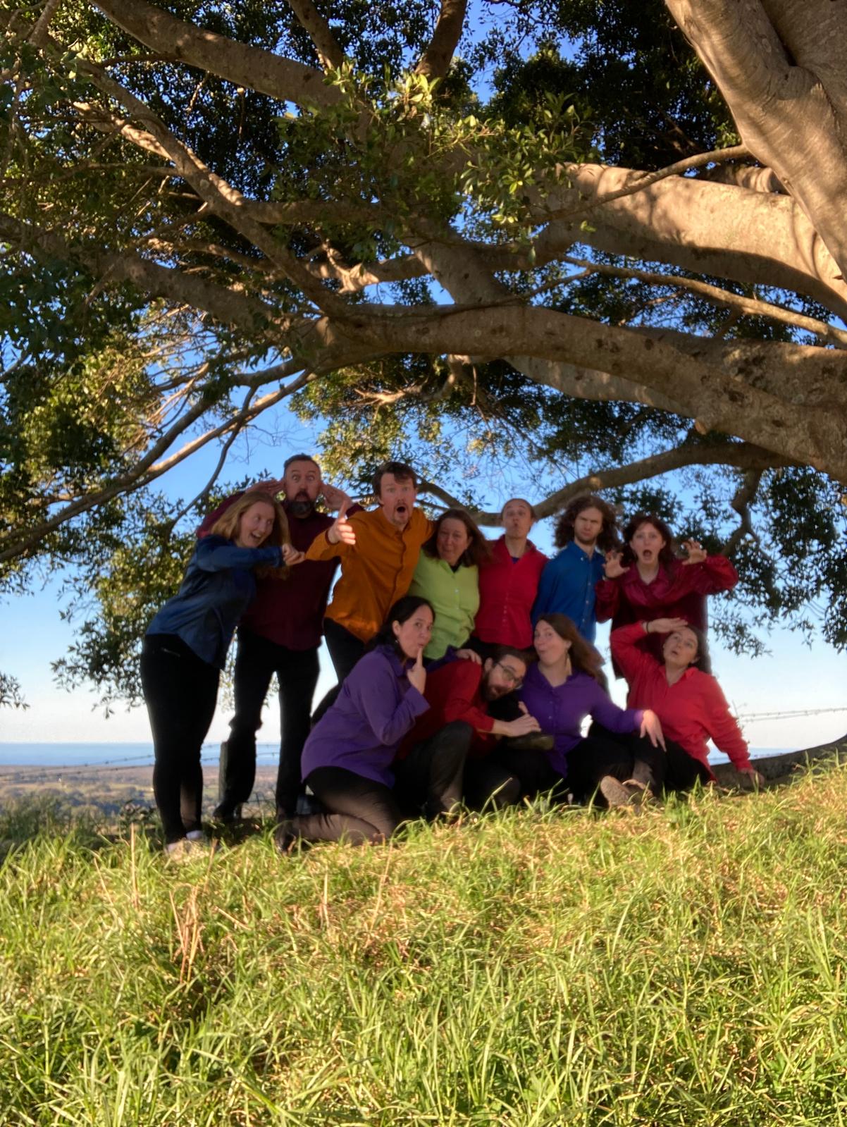The group resting beneath a broad shade tree